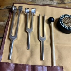 Tuning Fork Set 128 Hz 256 Hz 432 Hz with Pouch & Striker